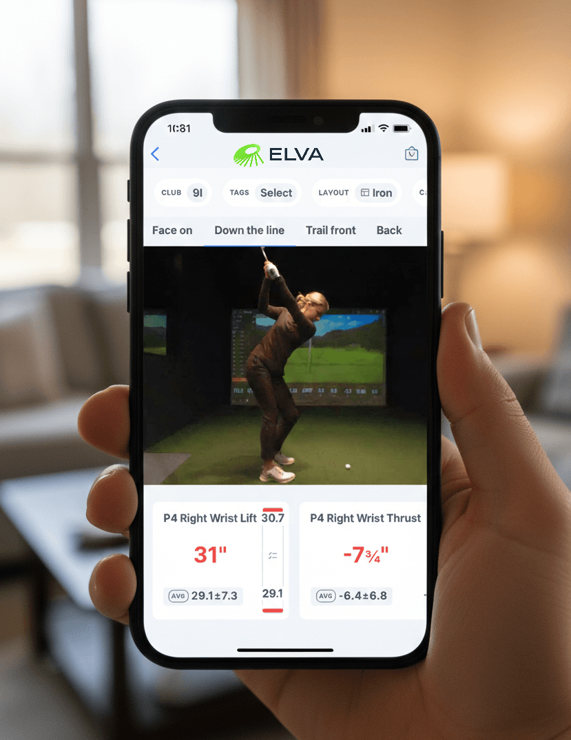 Mobile access to ELVA swing data